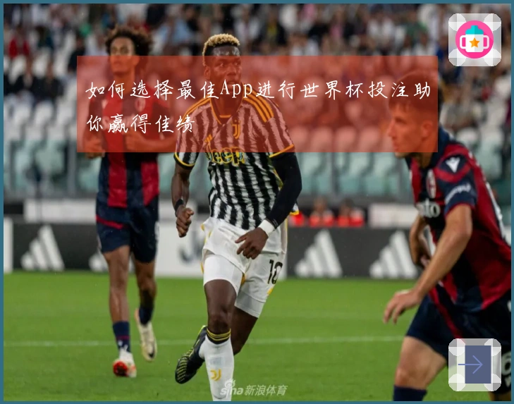 如何选择最佳App进行世界杯投注助你赢得佳绩