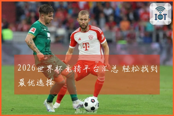 2026世界杯竞猜平台汇总 轻松找到最优选择