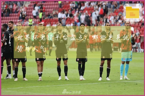 世界杯竞猜平台盘点：哪些更具优势与人气
