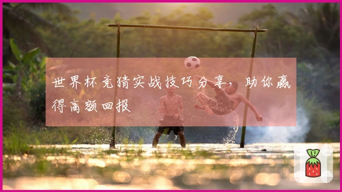 世界杯竞猜实战技巧分享,助你赢得高额回报