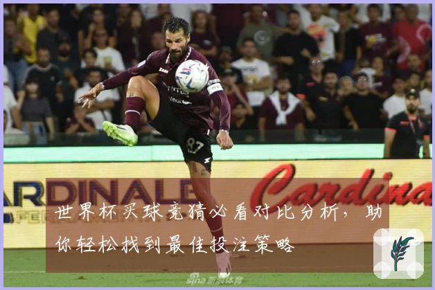 世界杯买球竞猜必看对比分析，助你轻松找到最佳投注策略