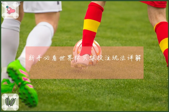 新手必看世界杯买球投注玩法详解