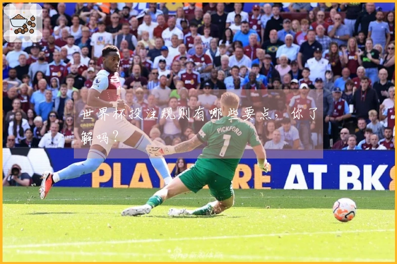 世界杯投注规则有哪些要点，你了解吗？