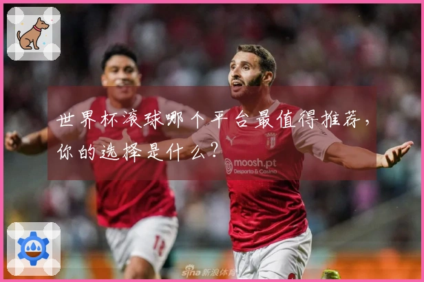 世界杯滚球哪个平台最值得推荐，你的选择是什么？