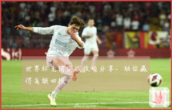 世界杯竞猜实战技巧分享，助你赢得高额回报