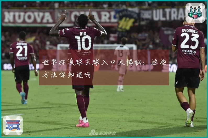 世界杯滚球买球入口大揭秘，这些方法你知道吗