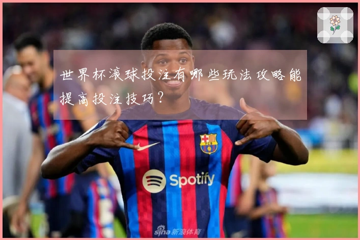 世界杯滚球投注有哪些玩法攻略能提高投注技巧？